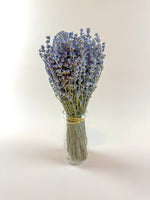 Dried Flowers | Light Blue Lavender – Naturally Air-Dried Florals