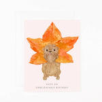 GC | Unbeleafable Birthday