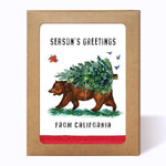 Greeting Card Set of 6 | California Bear Christmas