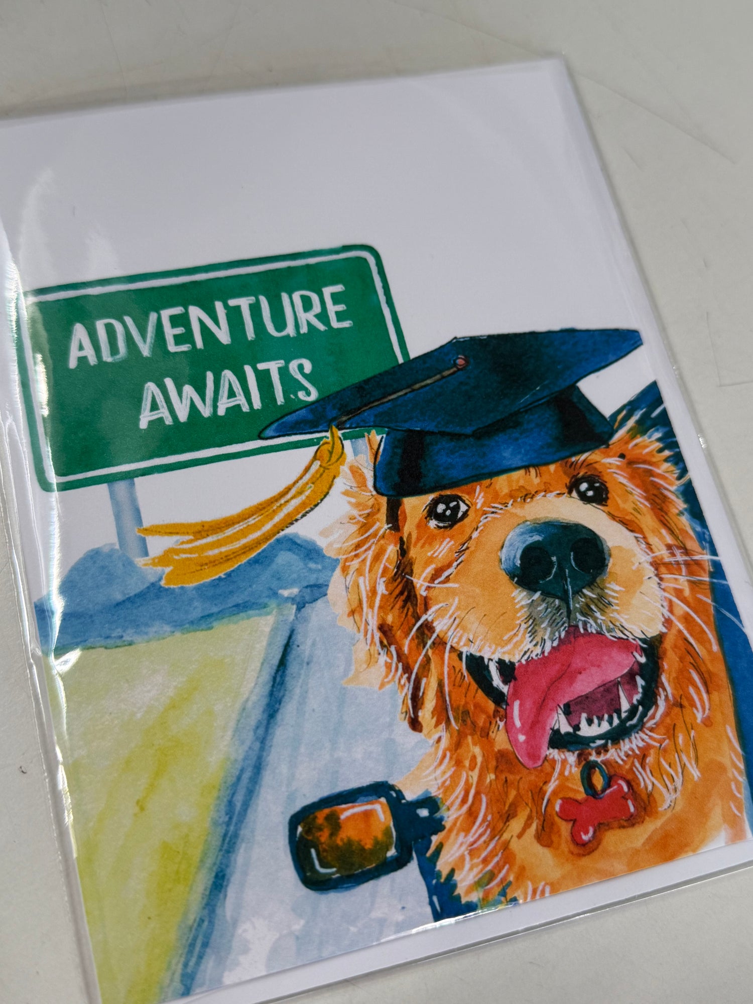 Graduation Greeting Card | Adventure Awaits Dog