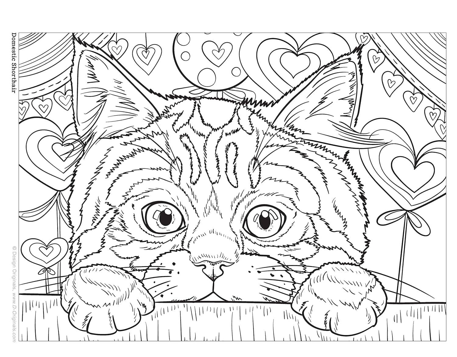 Coloring Book | Cats & Kittens, Learn about Cats