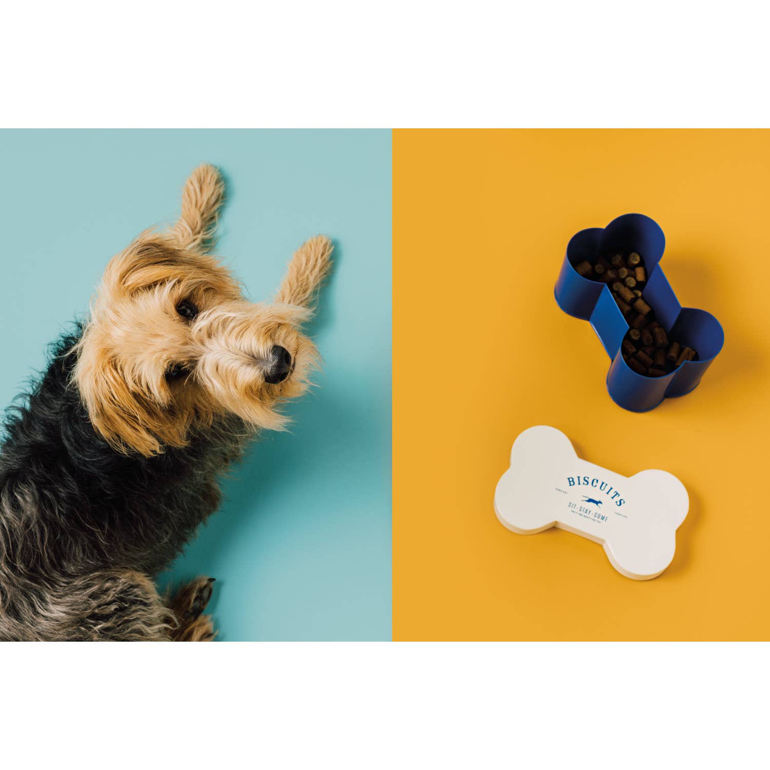 Jubilee Dog Park Biscuits Tin With Lid