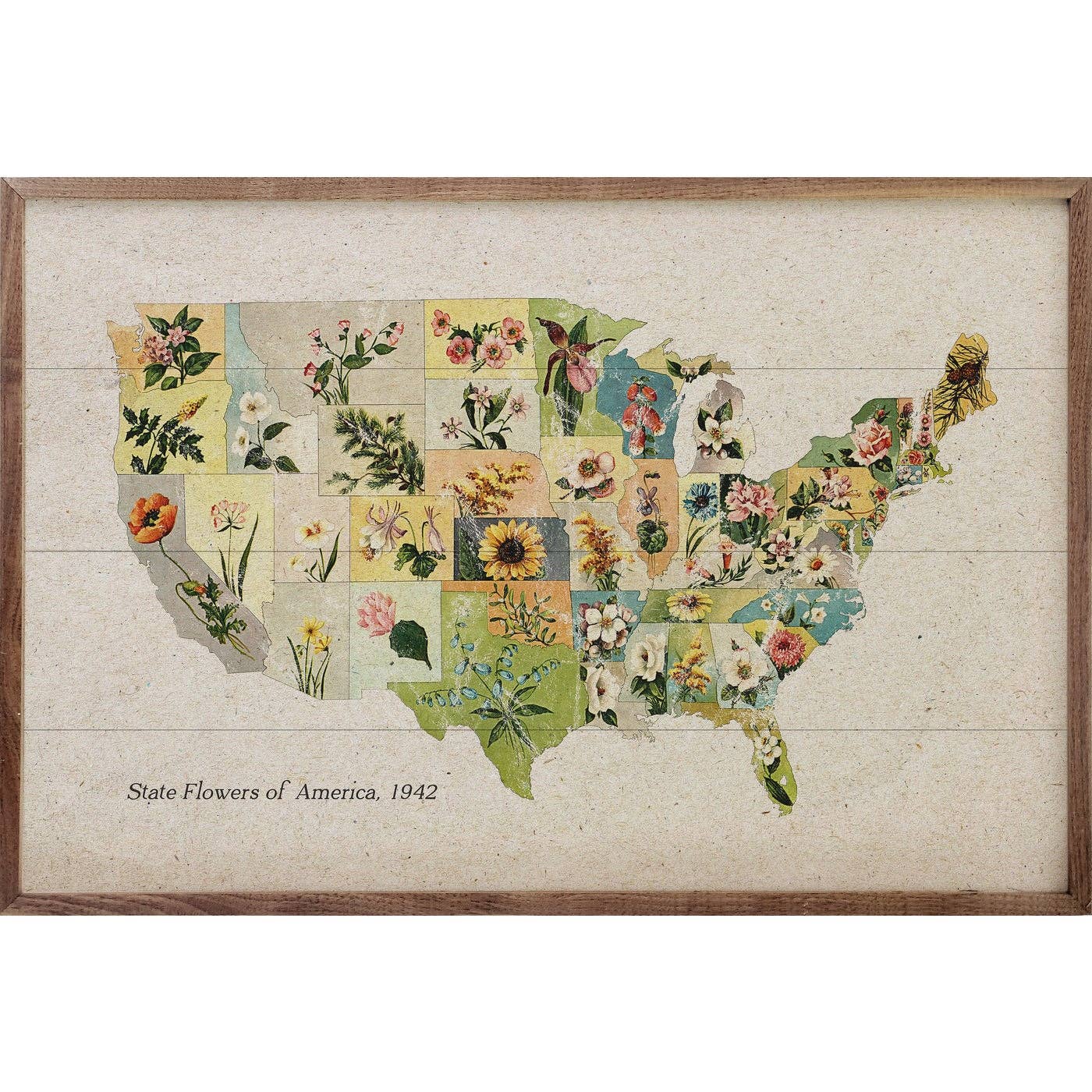 Framed Wooden Art | Vintage U.S. State Flowers Print