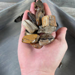 Petrified Wood (5 Piece Set)
