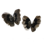 Pair of Feather Butterflies on Clip Magnet