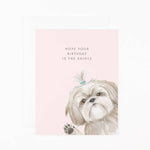 GC | Hope Your Birthday is the Shihtz