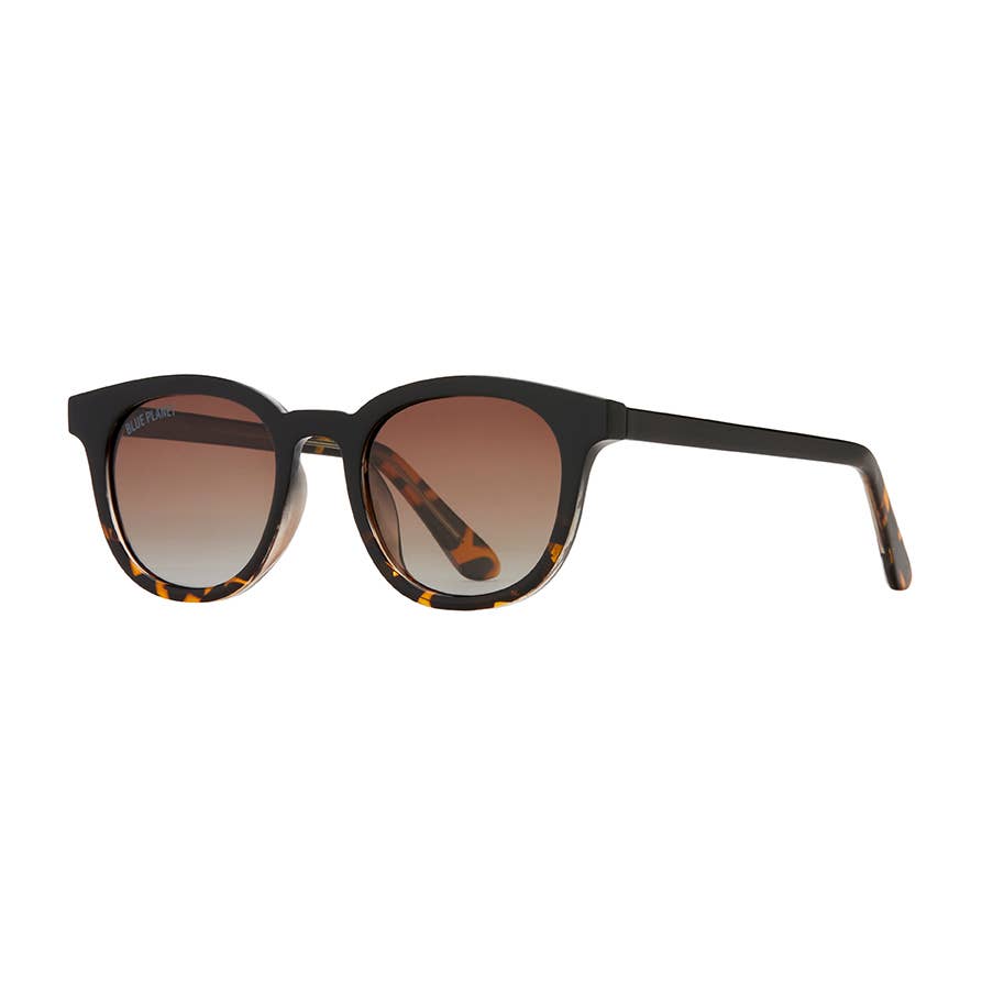 Blue Planet Sunglasses | Gram  - Onyx To Walnut Tortoise Fade / Gradient Br
