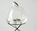 Stoneware | Floating Frog
