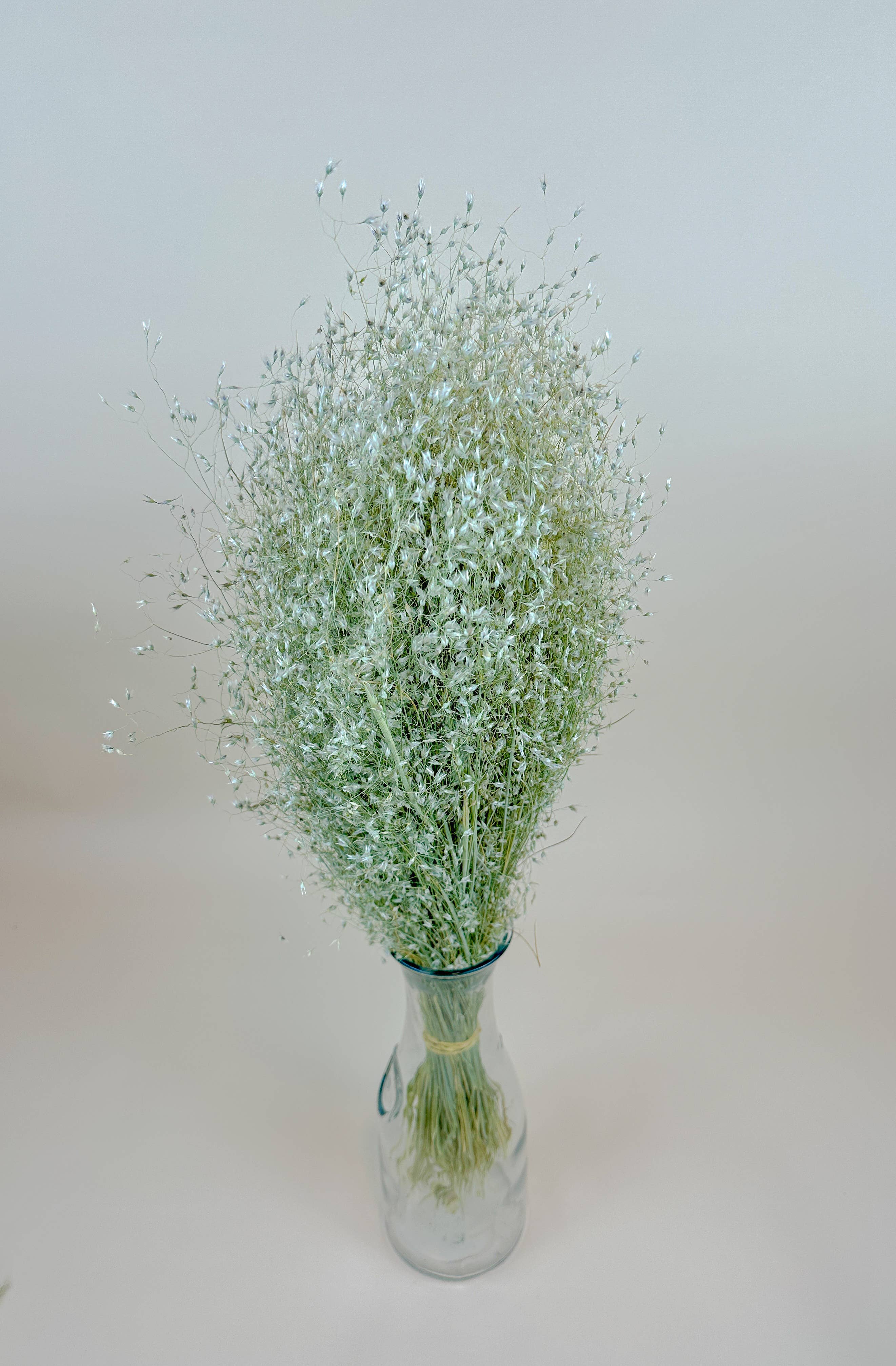 Dried Flowers | Indian Rice Grass – Naturally Dried – Blue Bare Merc ...
