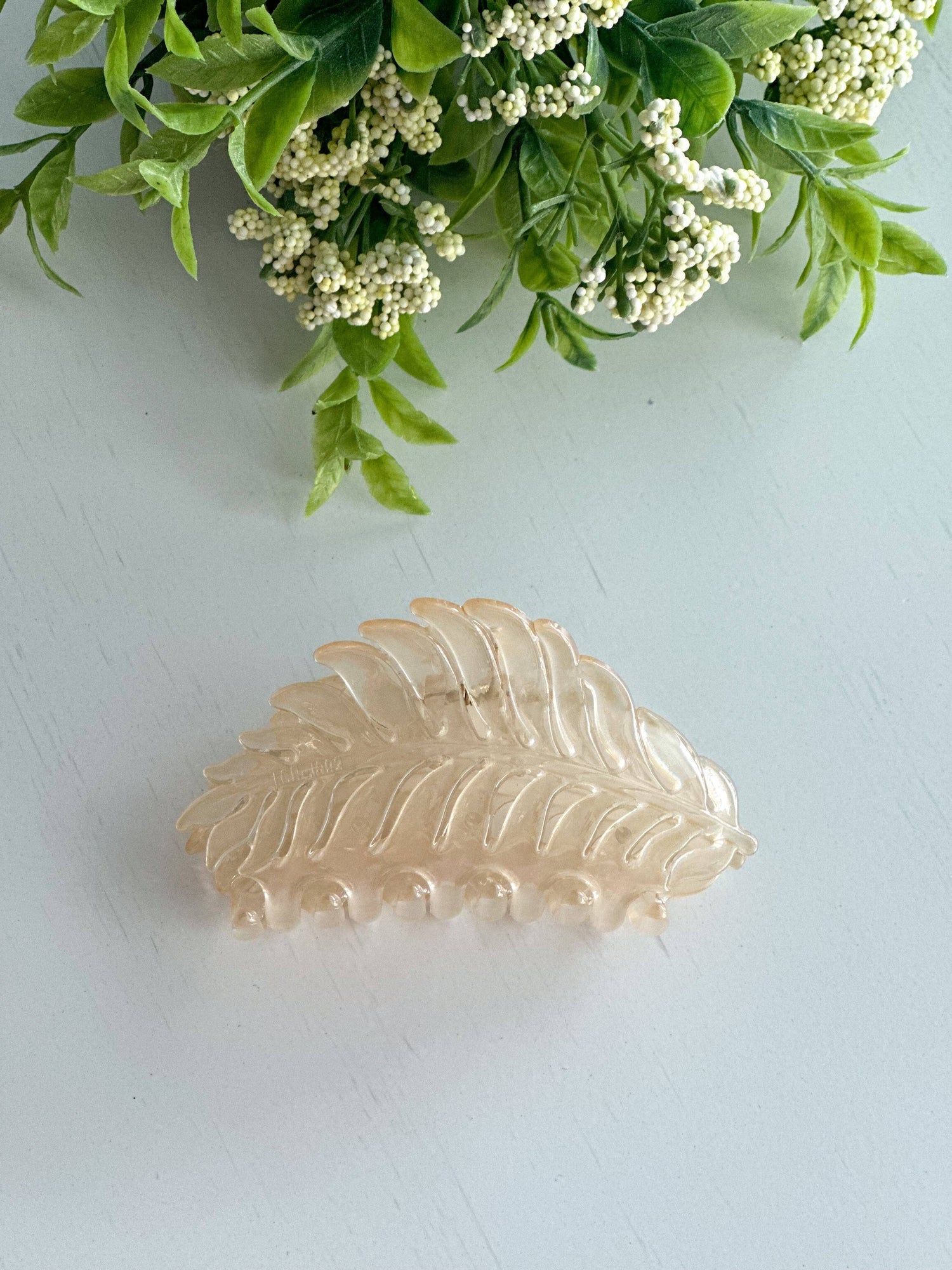 Hair Jaw Clip | "Beige" Transparent Leaf