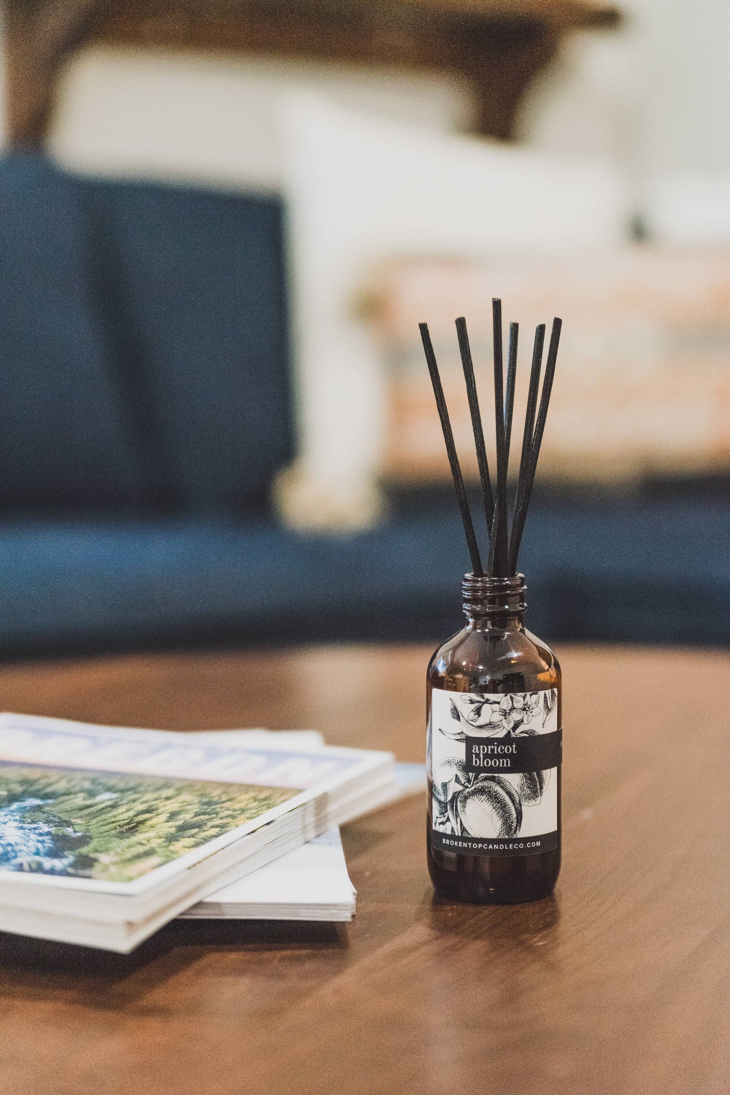 Apricot Bloom | Reed Diffuser | Broken Top Brand