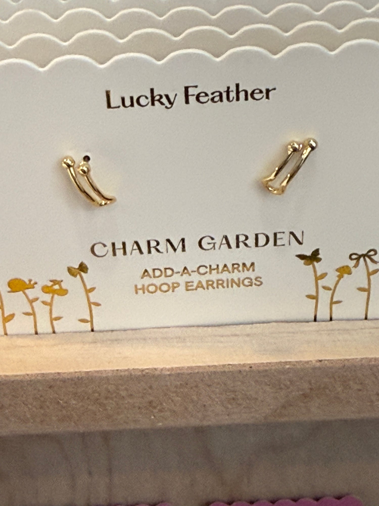 Jewelry Charm Garden - HOOP EARRINGS