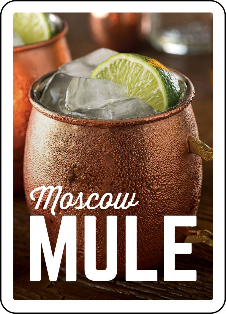 Cocktail Recipe Cards Set | The Art of Mixology