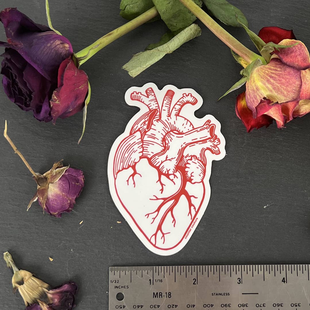 Sticker | Anatomical Heart | Nurse Gift