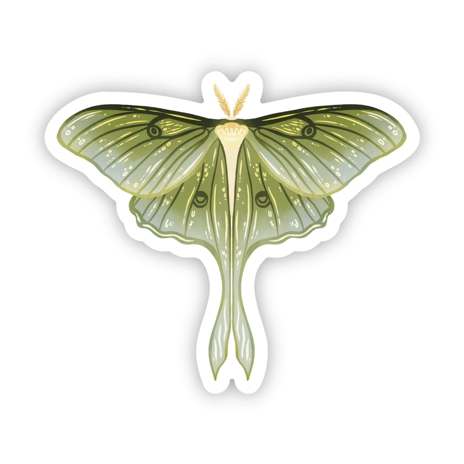Sticker | Green Moth