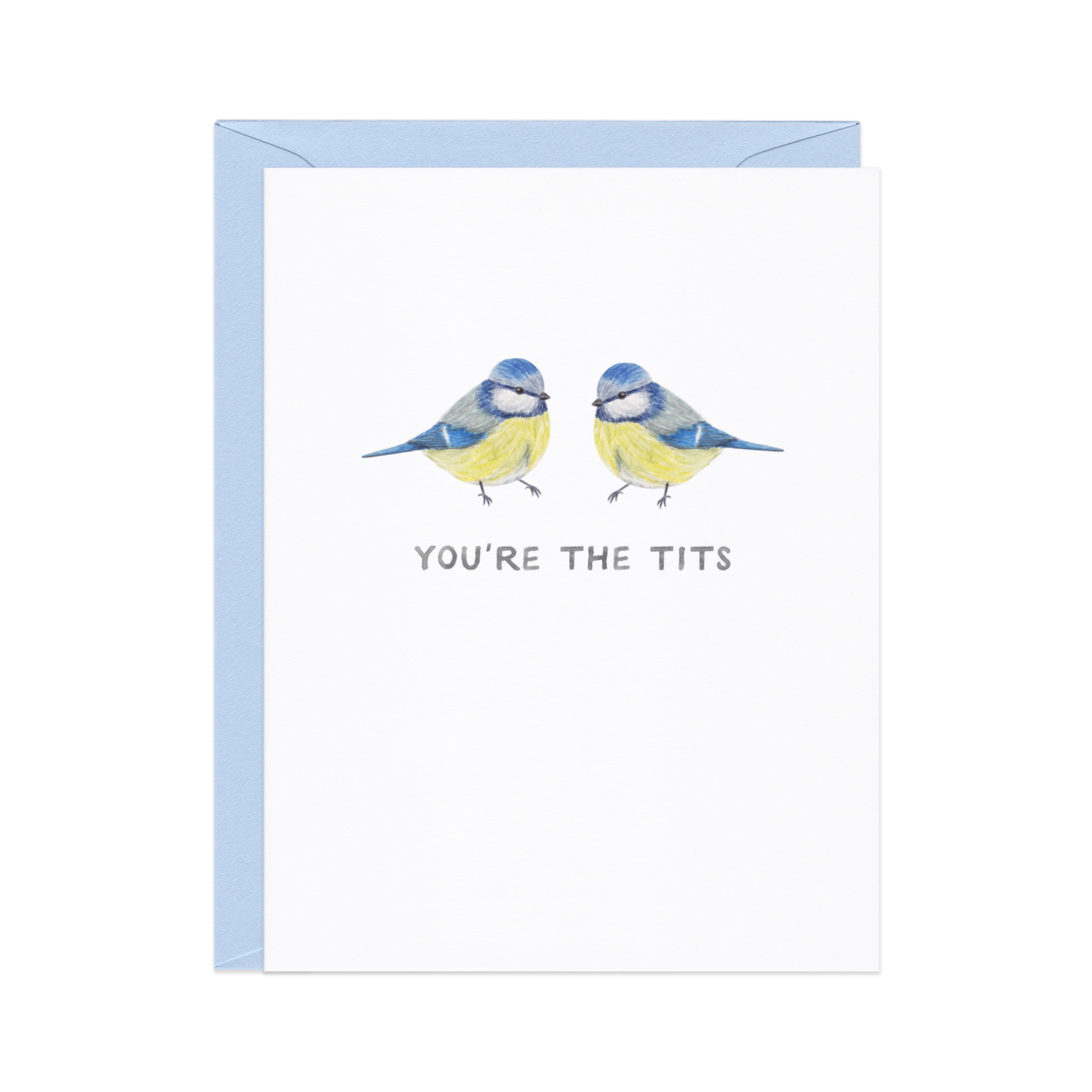 Greeting Card | You're the Tits — Funny Bird Pun Friendship Card