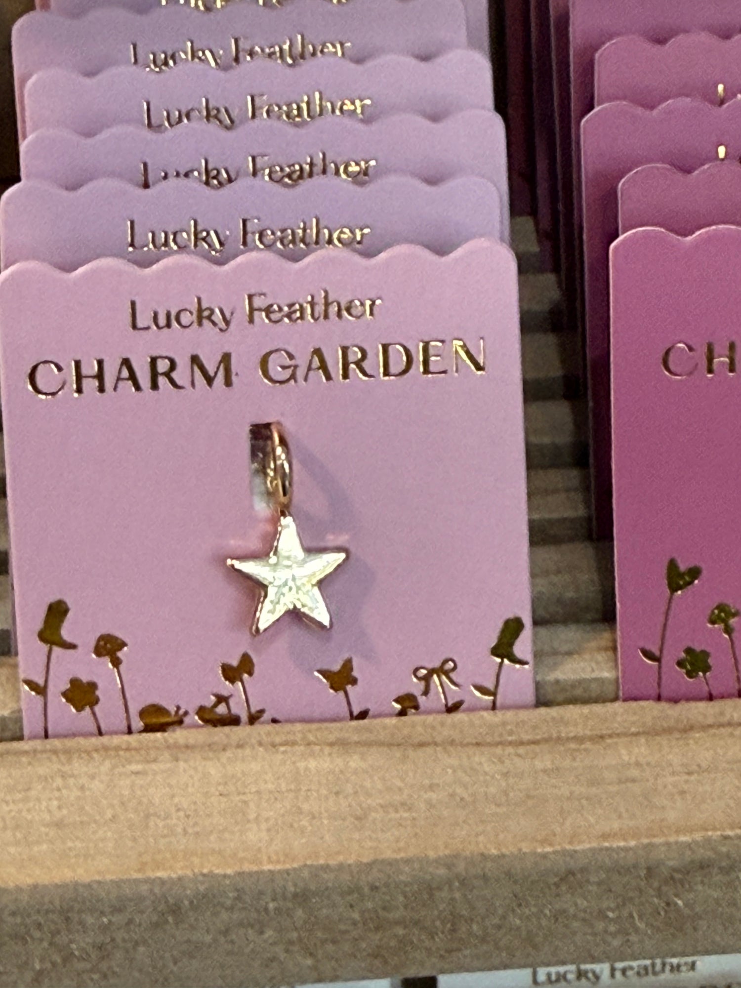 Jewelry Charm Garden - Star