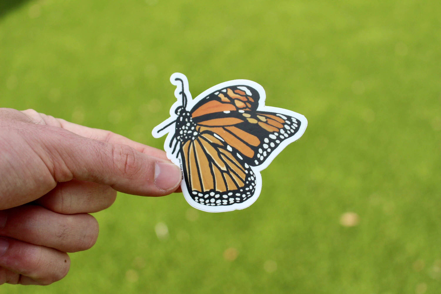 Sticker | Monarch Butterfly