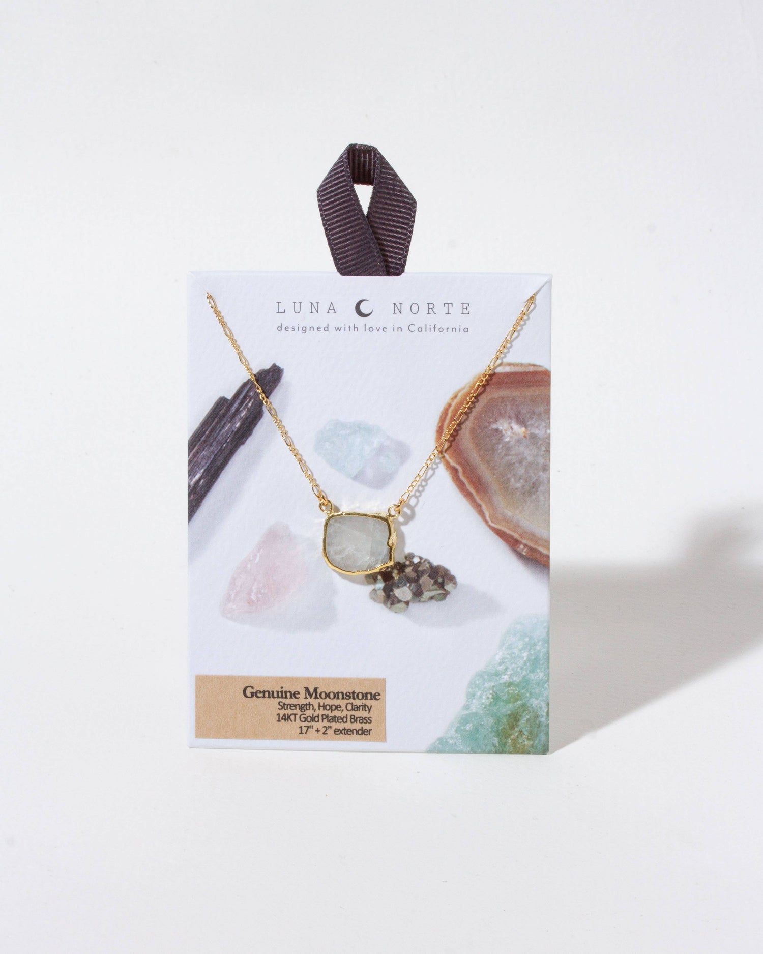 Wild & Grounded Necklace | Moonstone | 14K
