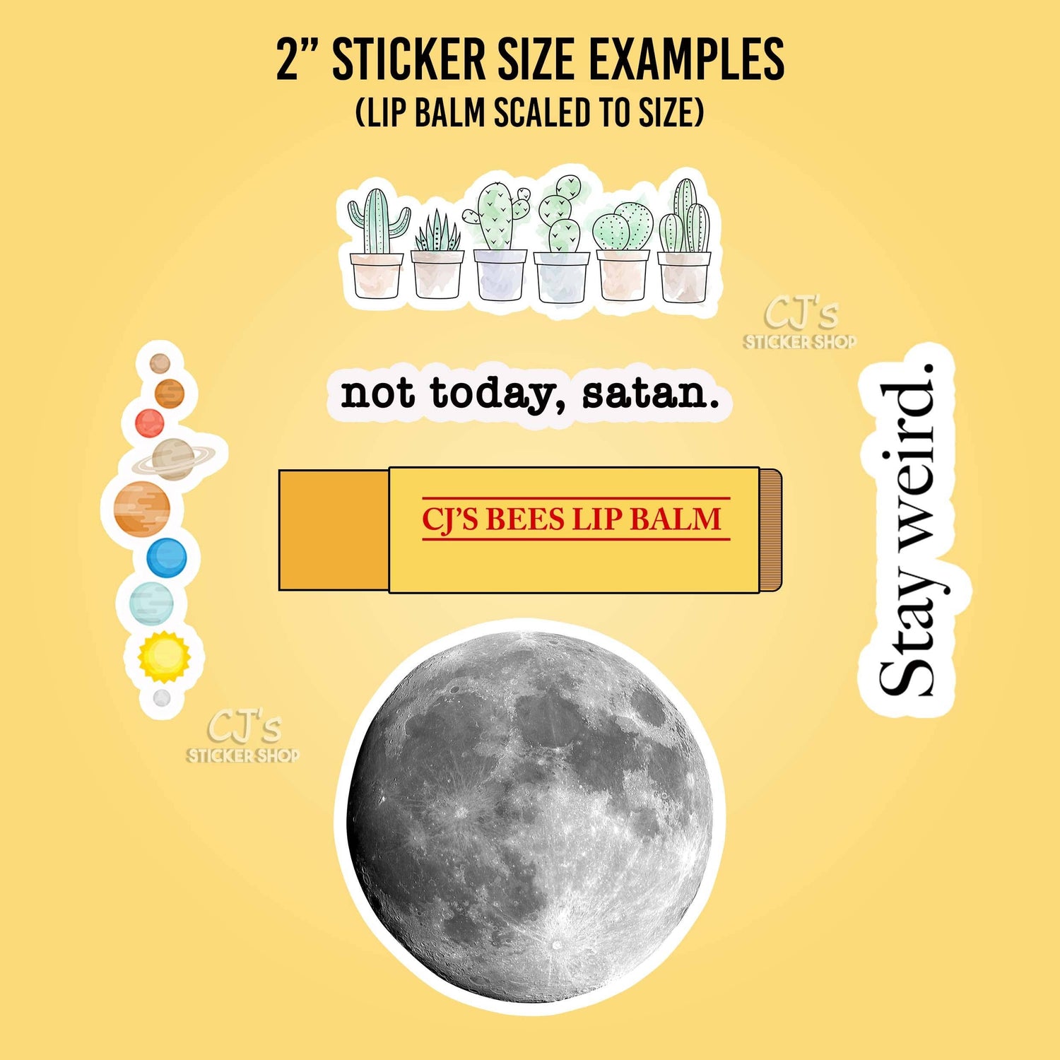 Vinyl Sticker | A Moment Of Science