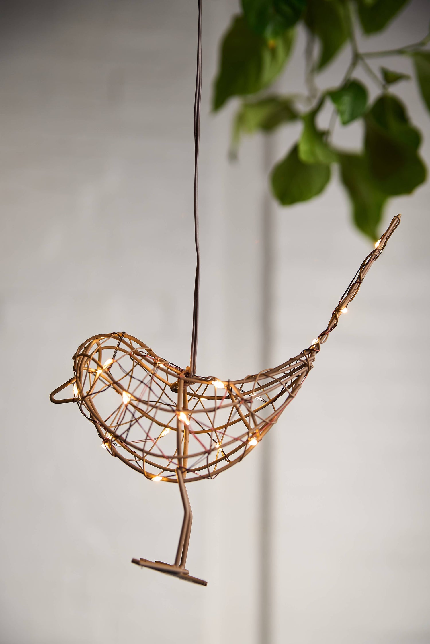 Lit Hanging Robin