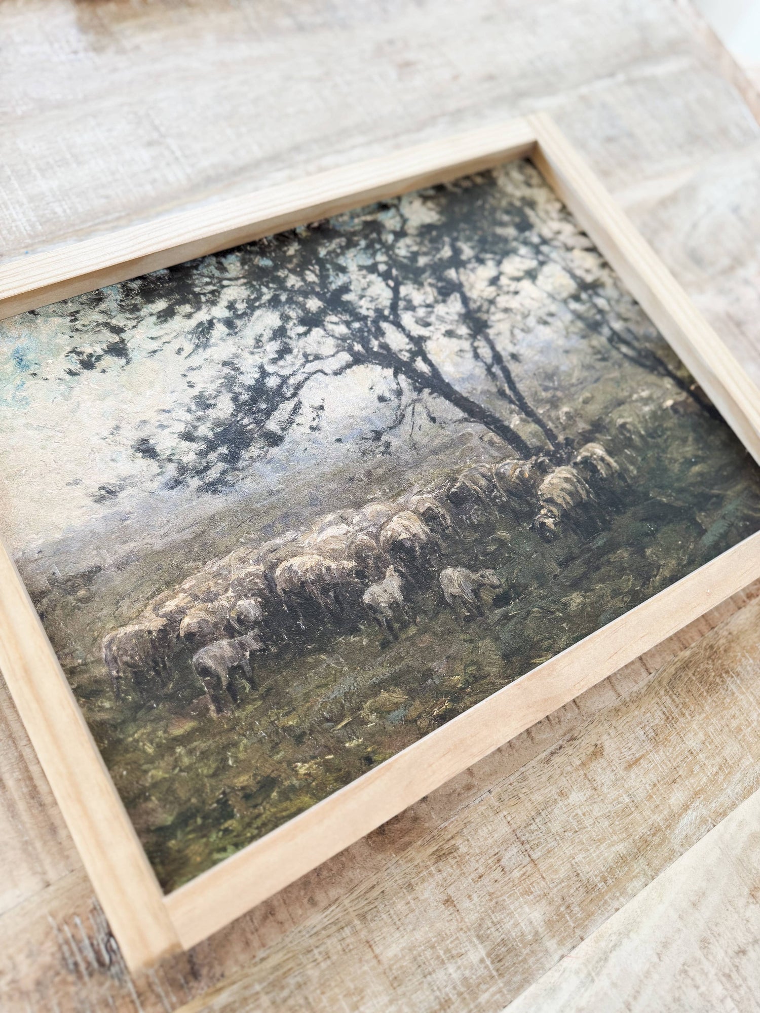 Handmade Framed Art | Moody Sheep