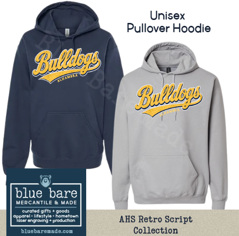 Unisex Pullover Hoodie Sweatshirt | AHS Retro Script Design