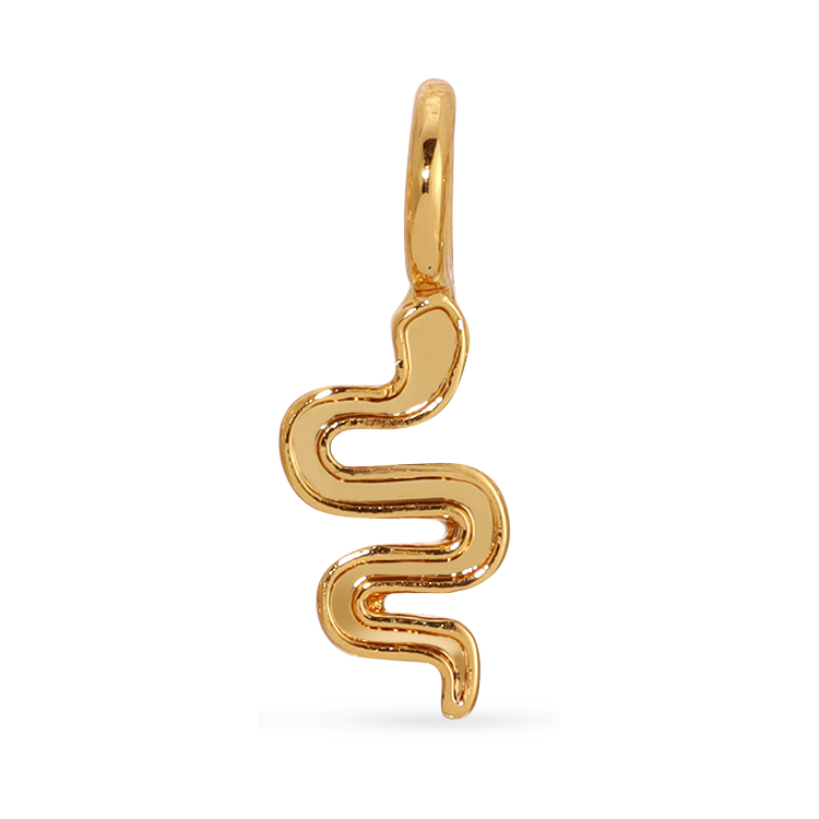 Jewelry Charm Garden - Snake Gold Silver