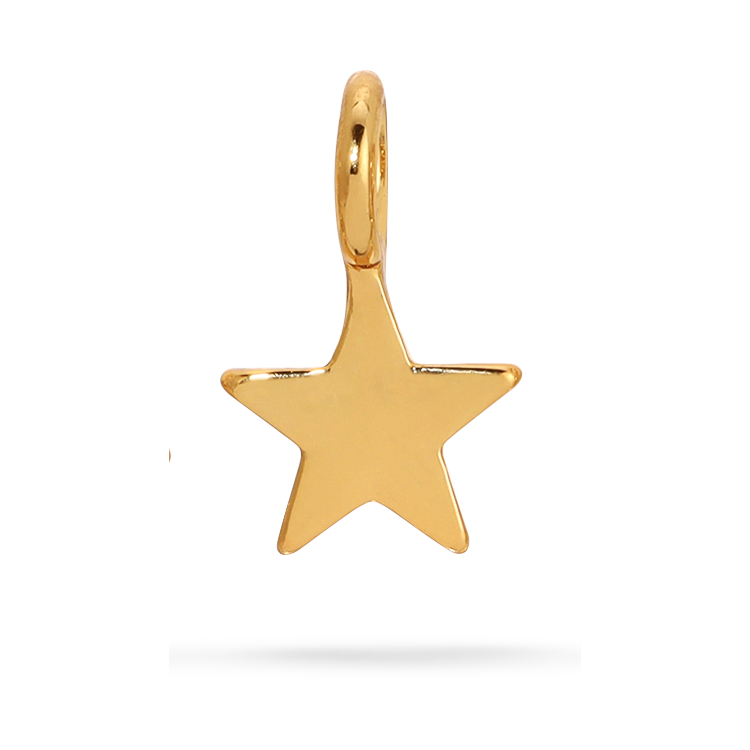 Jewelry Charm Garden - Star