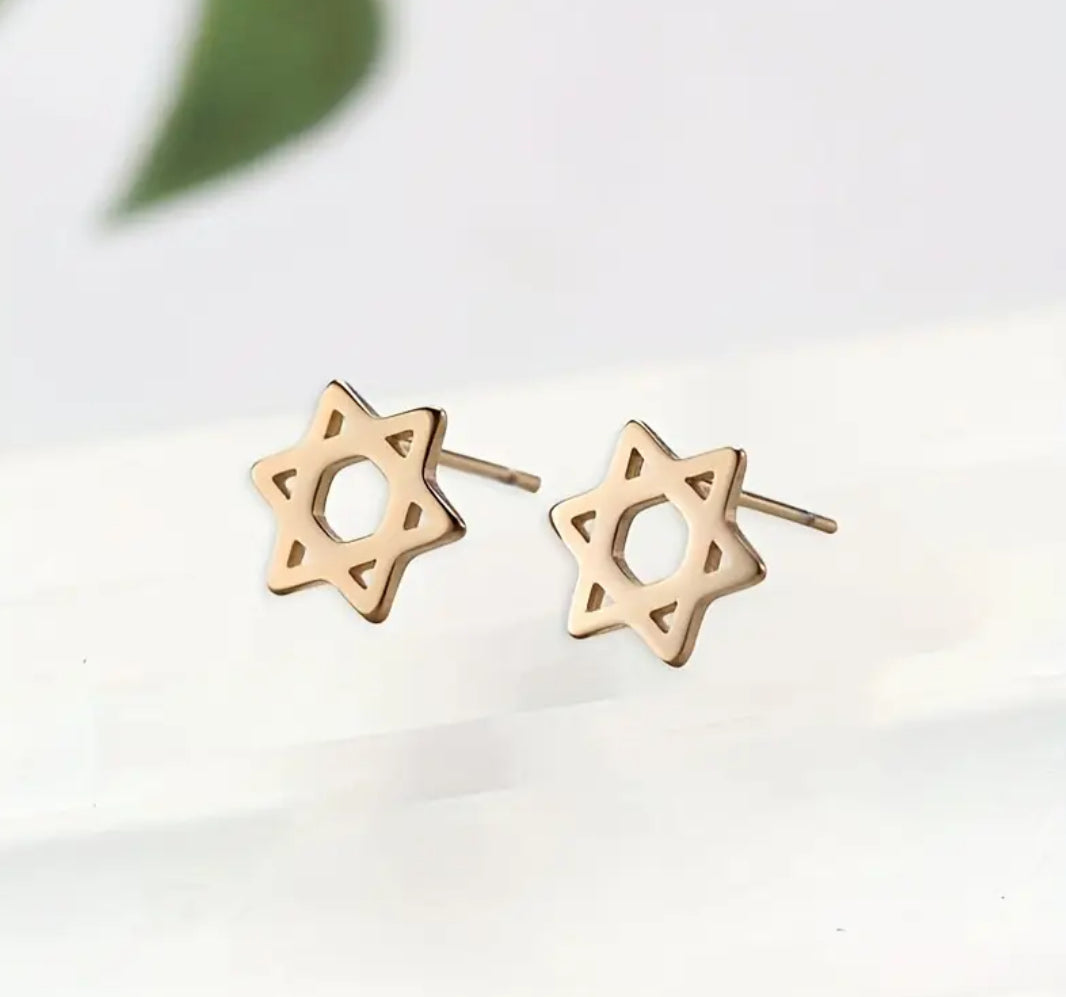 Stainless Stud Earrings | Star of David