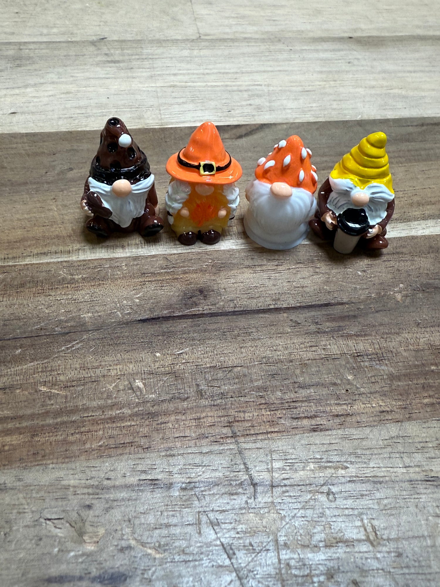 Tiny Fall Gnomes