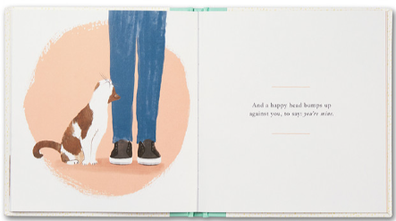 Cat Book | When You Love A Cat