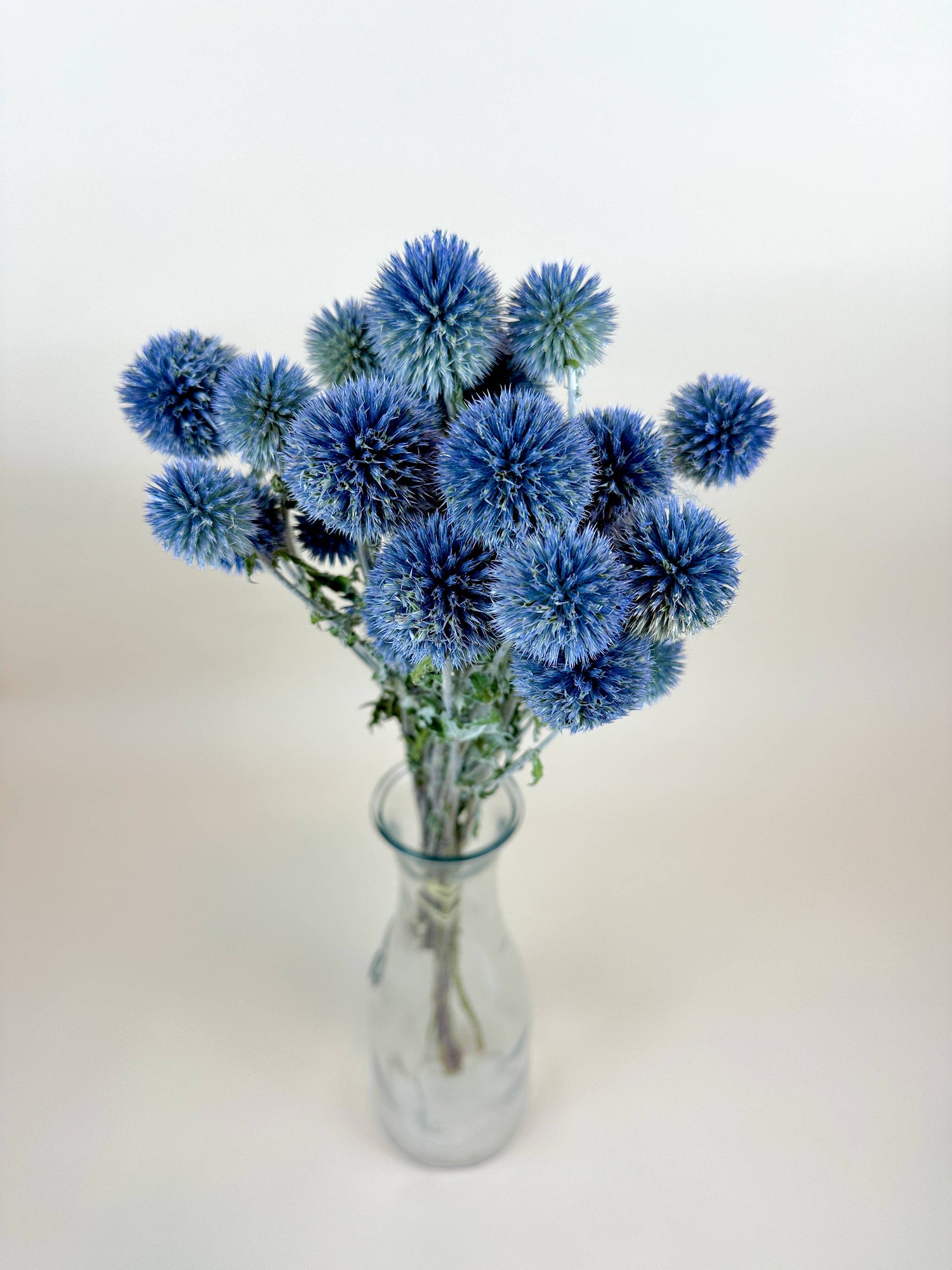 Dried Flowers | Globe Thistle (Echinops) – Natural Blue, Air-Dried