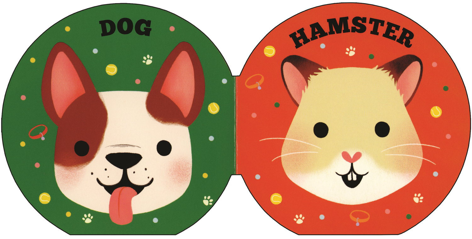 Children's Book | Cat & Friends