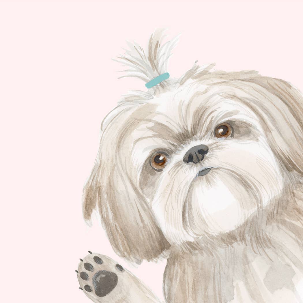 GC | Hope Your Birthday is the Shihtz