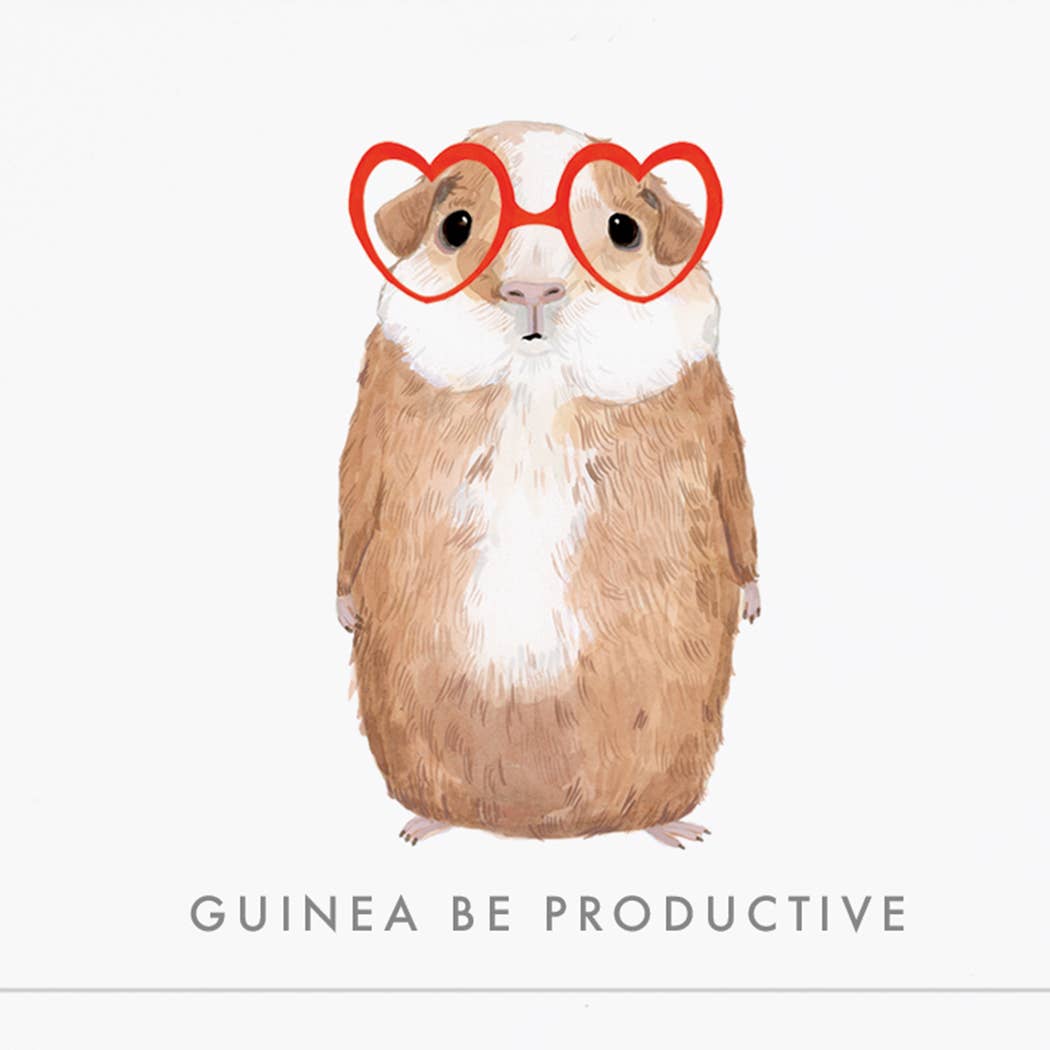 NTPD | Guinea Be Productive