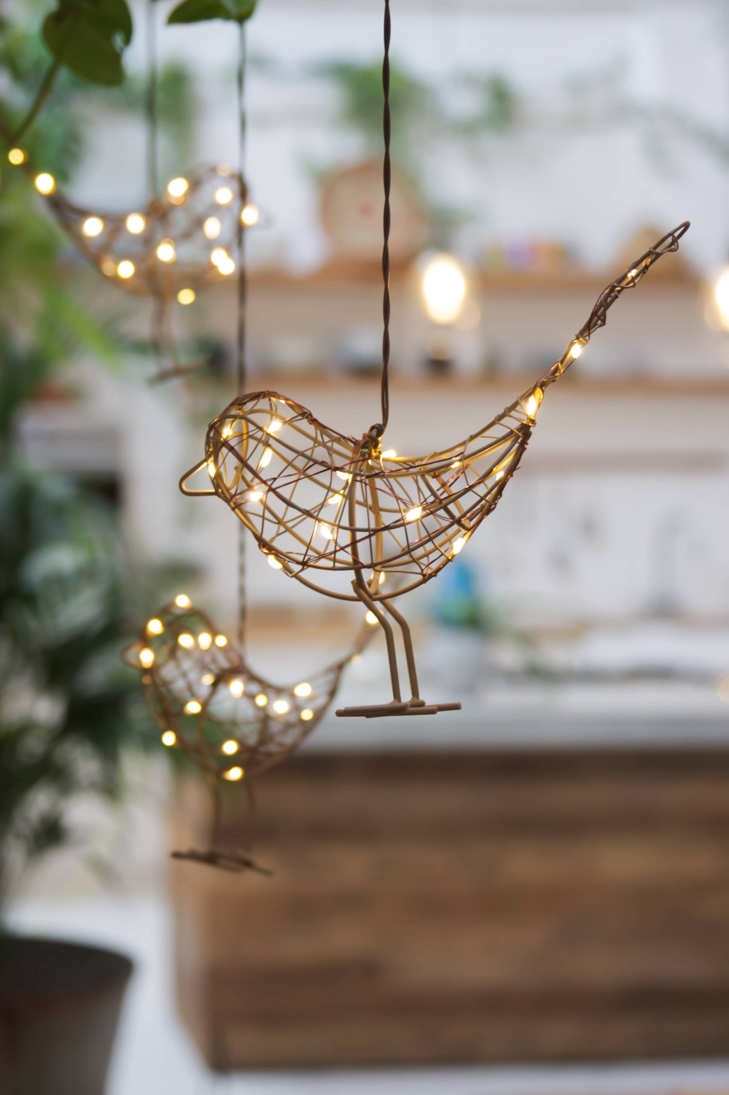 Lit Hanging Robin