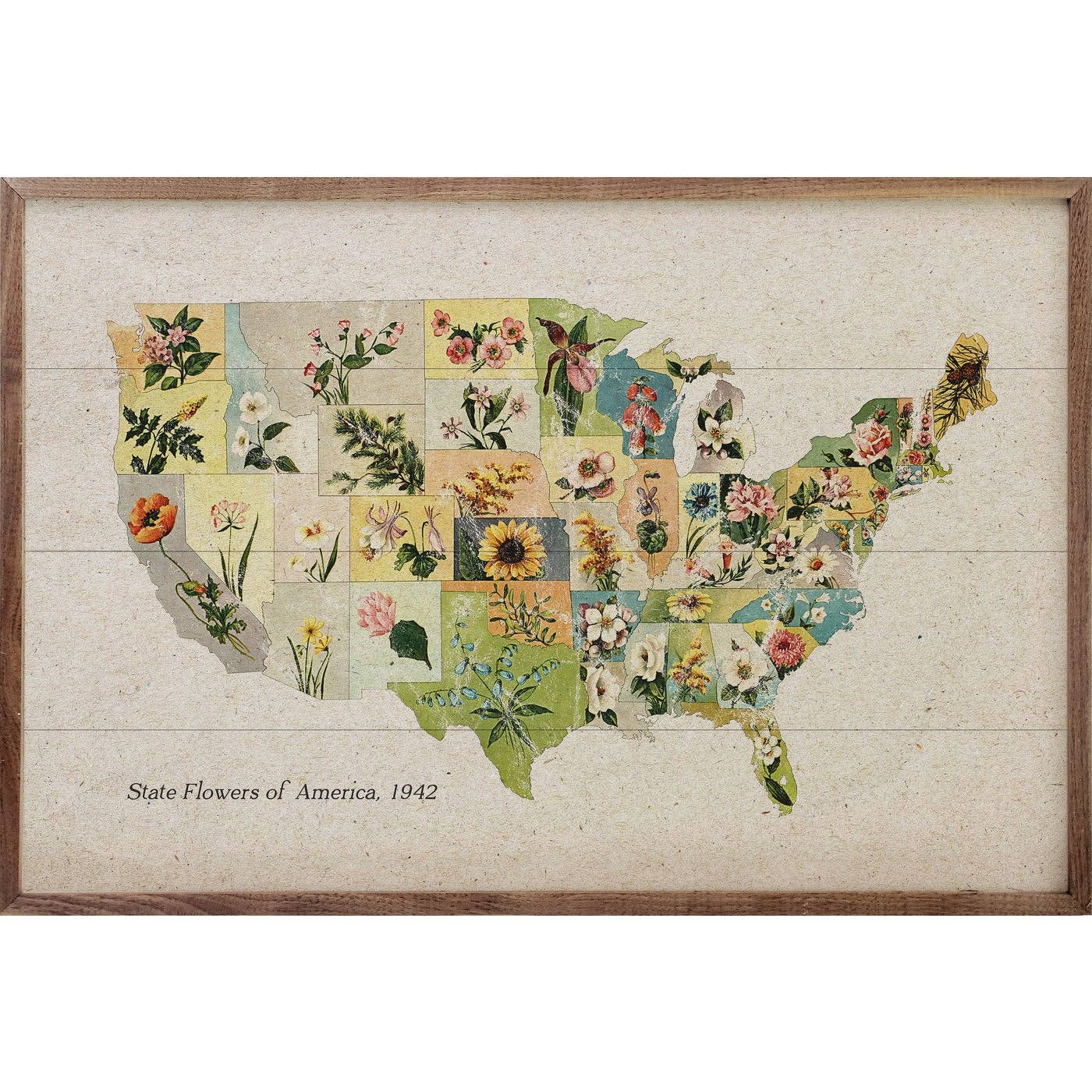 Framed Wooden Art | Vintage U.S. State Flowers Print