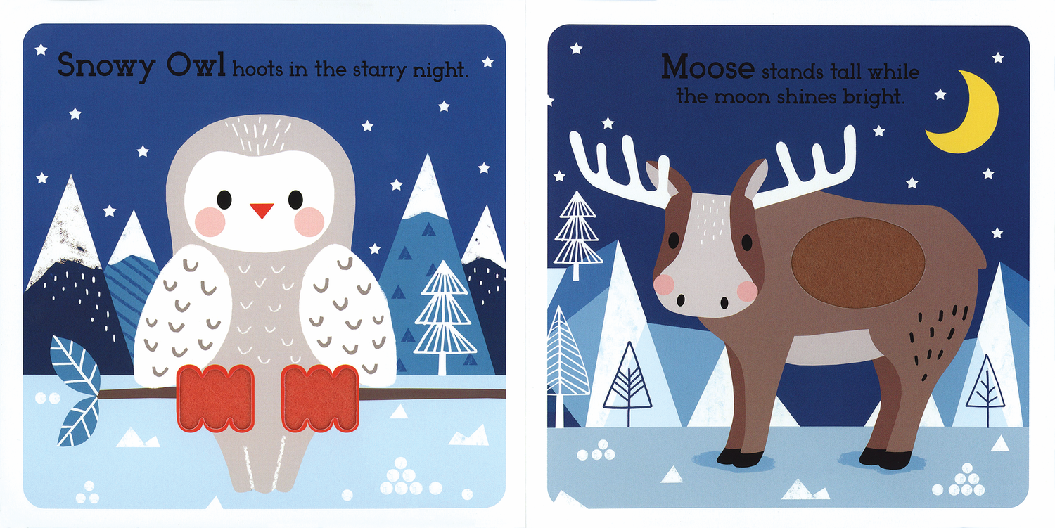 Read, Children's Book | Touch, Discover: Arctic Animals