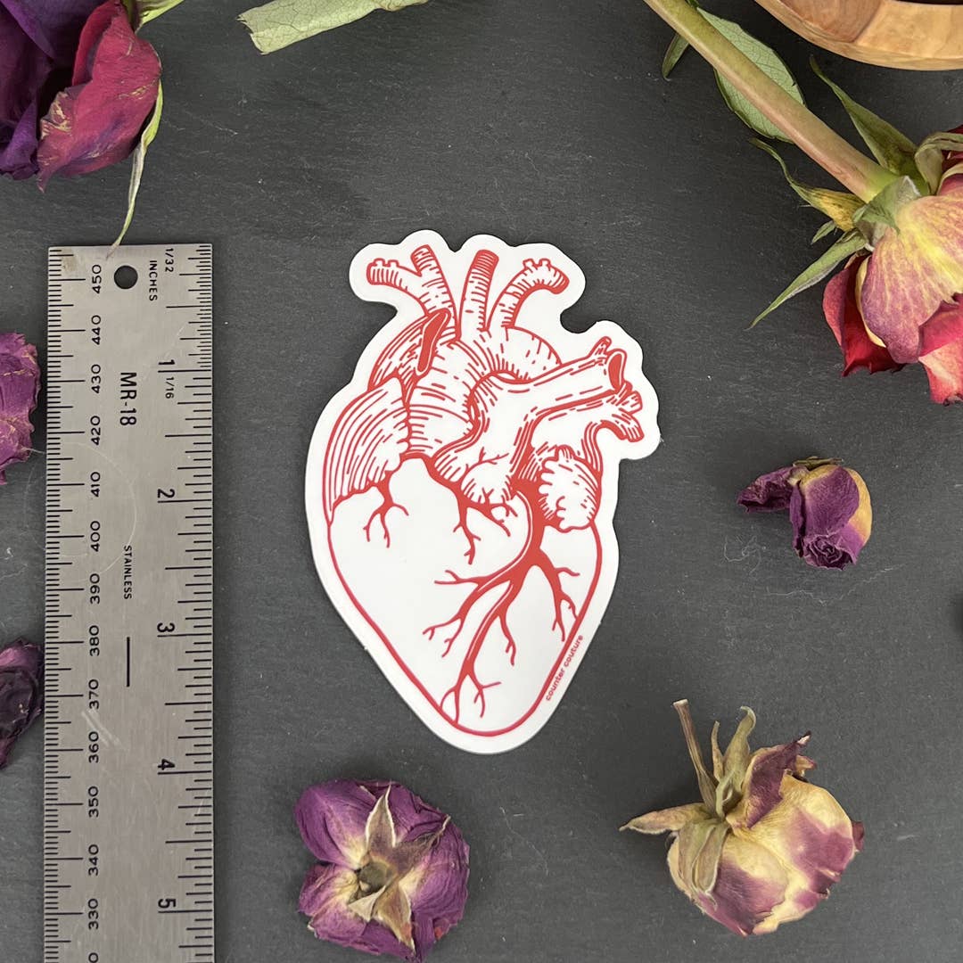 Sticker | Anatomical Heart | Nurse Gift