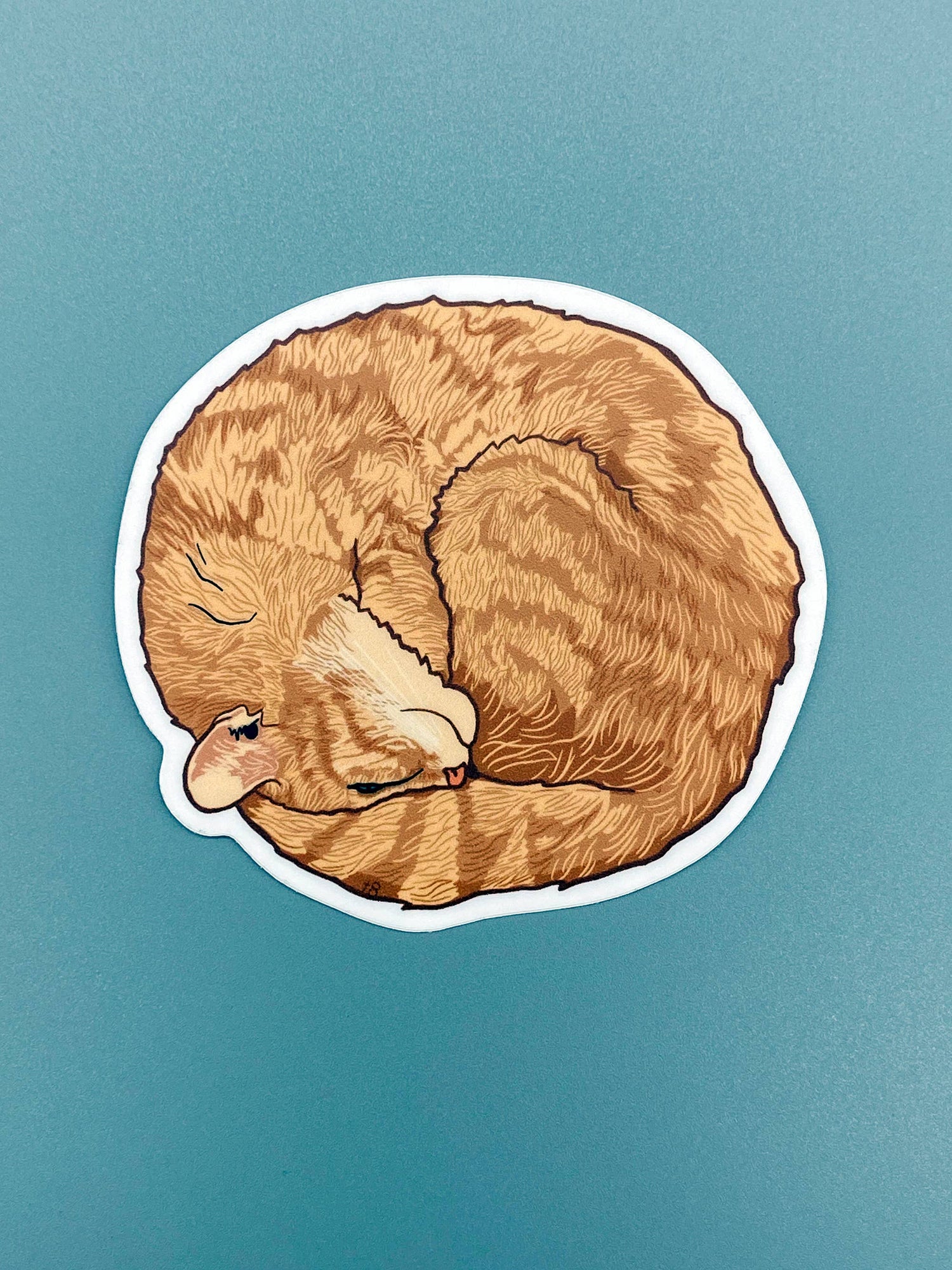 Sticker | Orange Curled Up Kitty