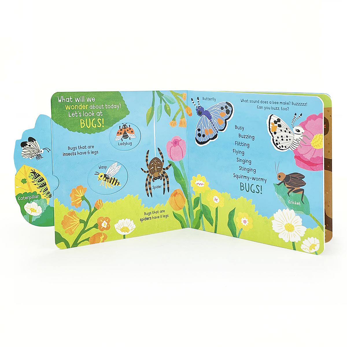 Children's Book | Little Wonders: Bugs   Interactive Board Book