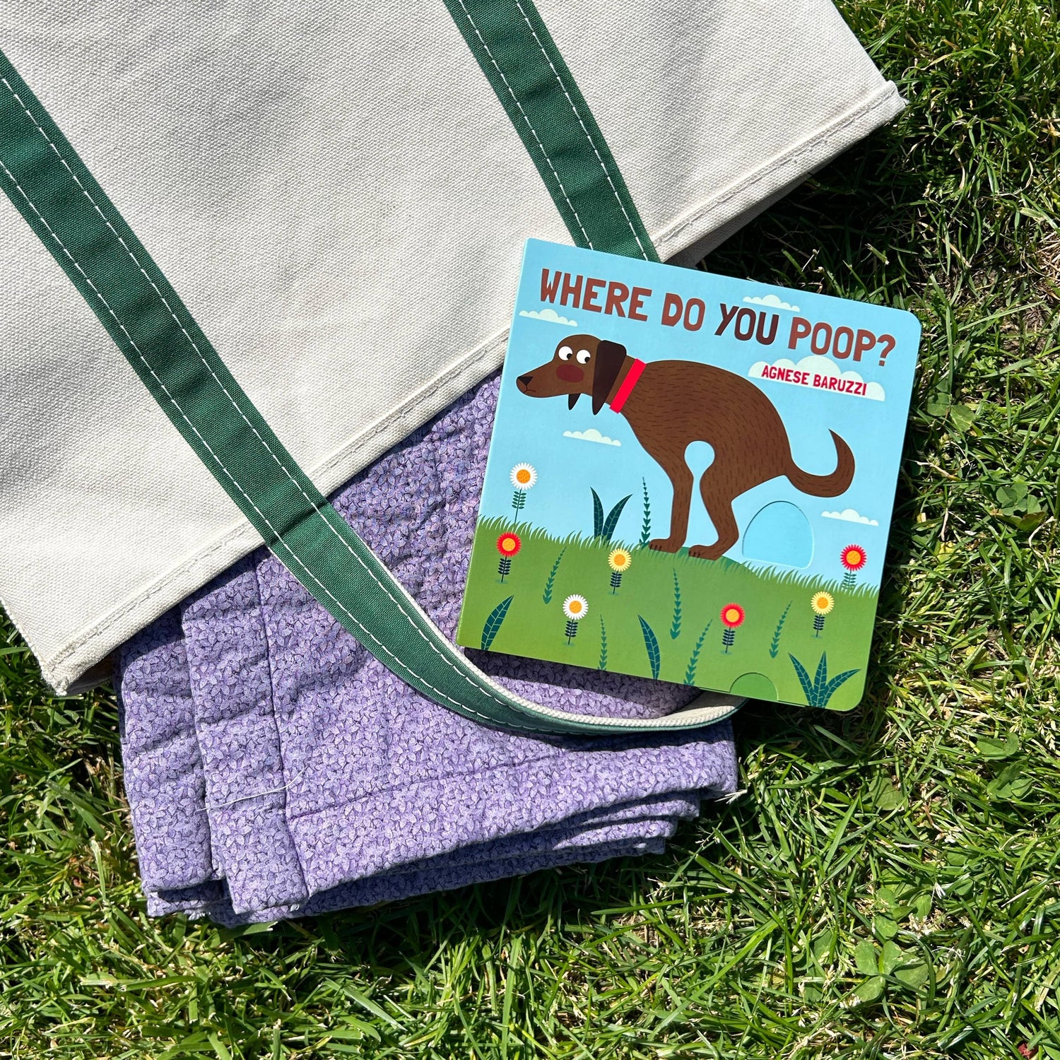 Children's Book | Where Do You Poop?