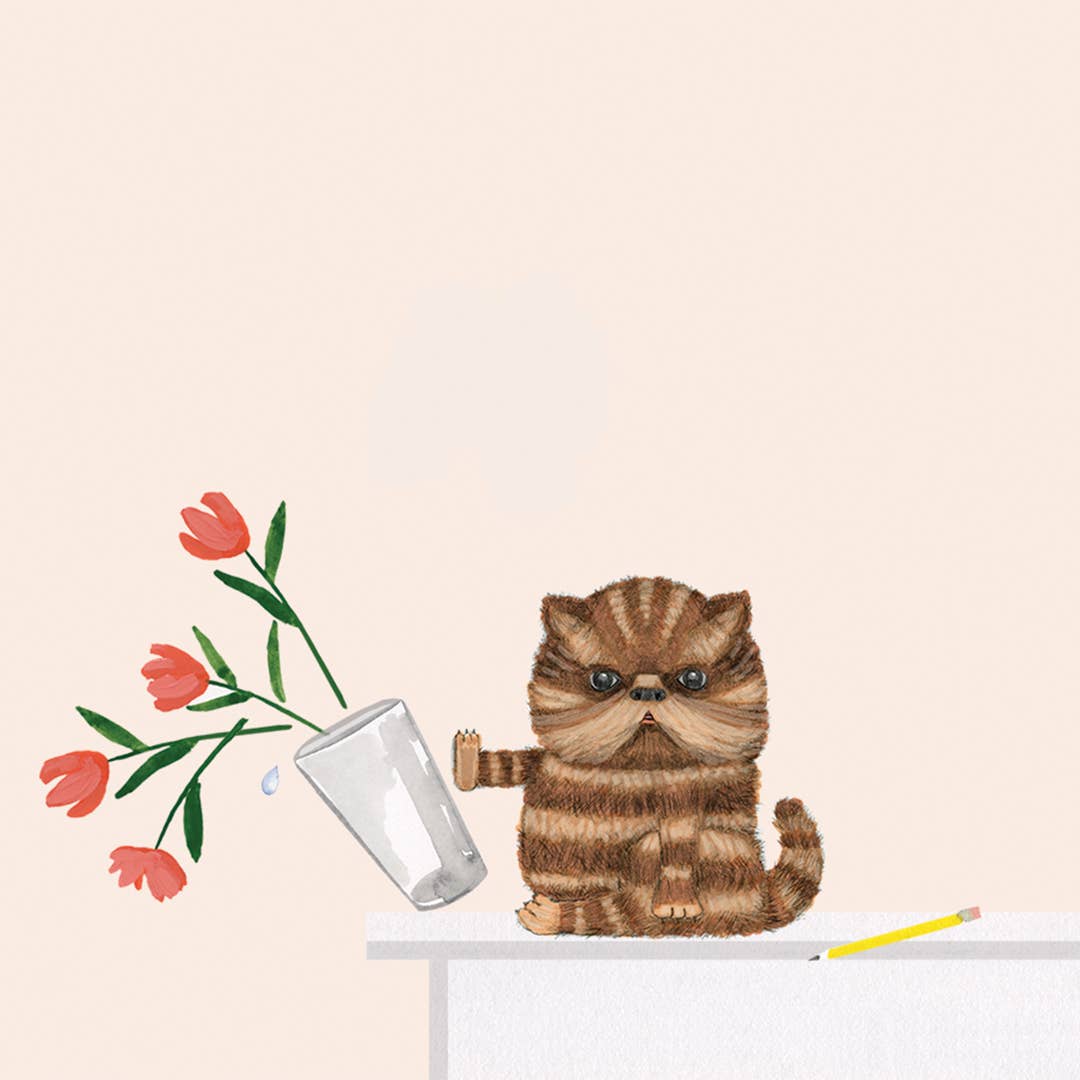 NTPD | Things to do right Meow