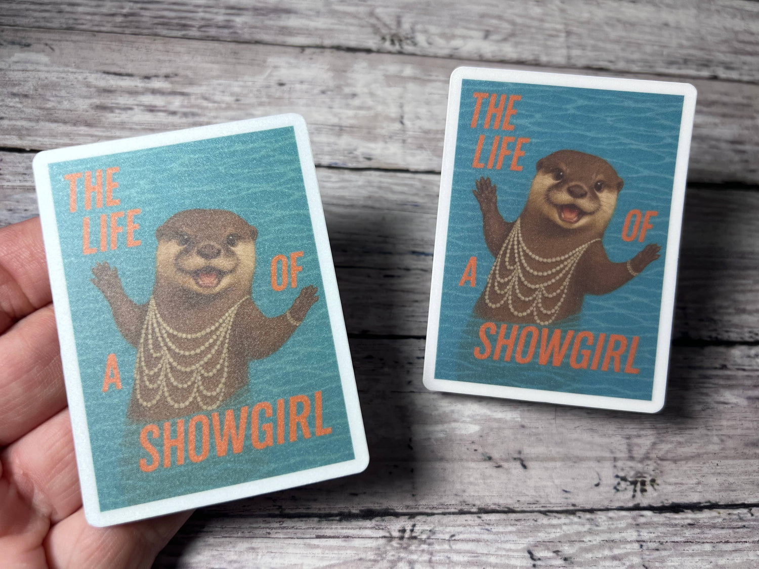 Sticker / Decal |  Otter